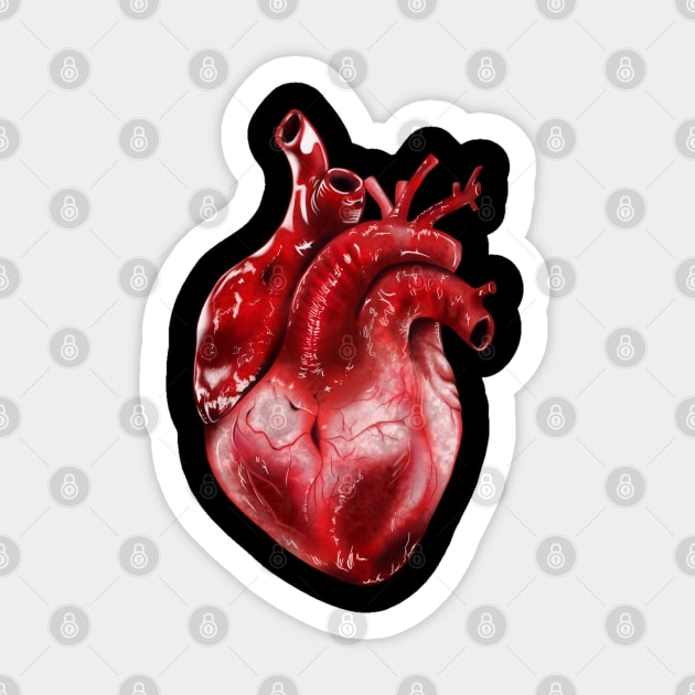 Anatomical Heart Sticker by leafdesigns